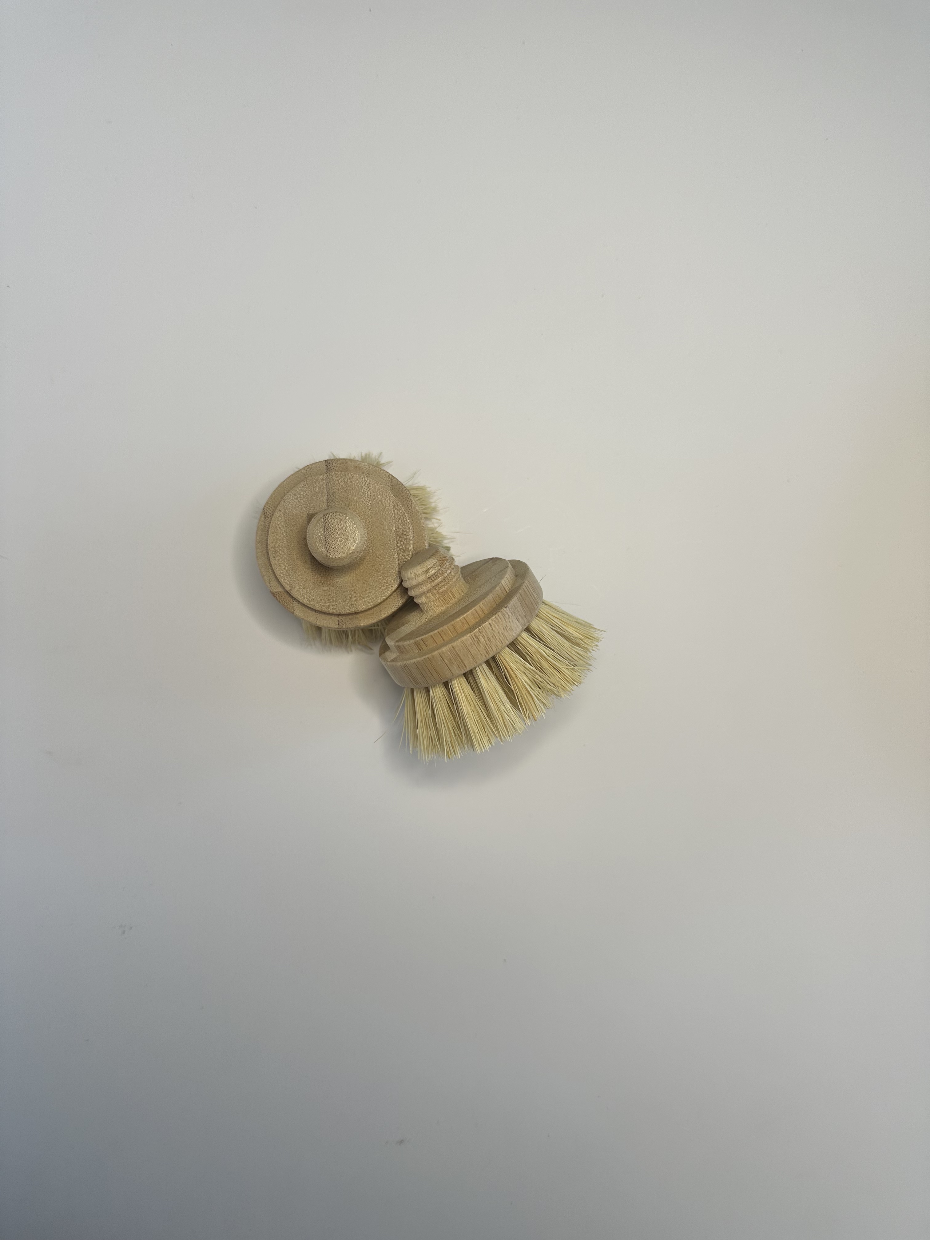 Replacement Head for Pot and Dish Brushes